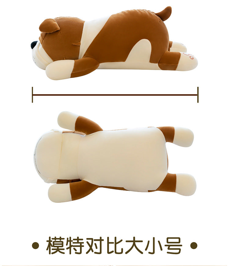 Cuddly Shar-Pei plush toy in colourful background