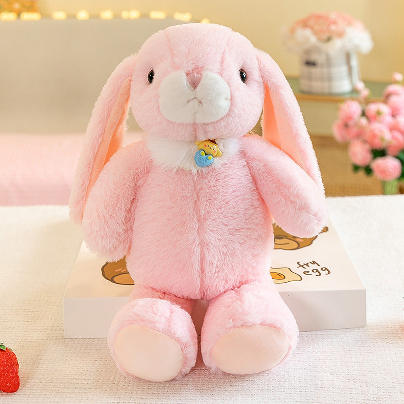 Soft plush toys collection on display