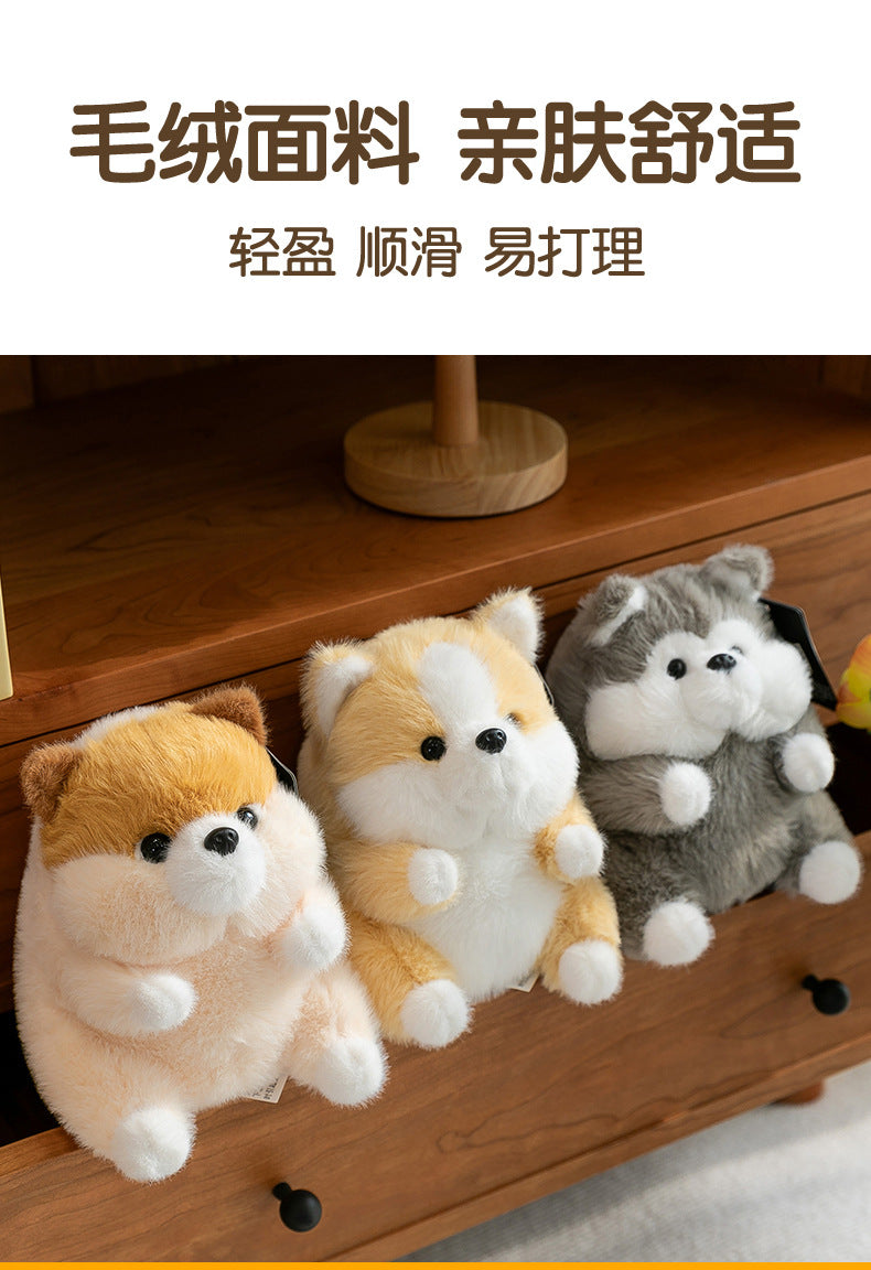 Multiple views of Corgi stuffed animal