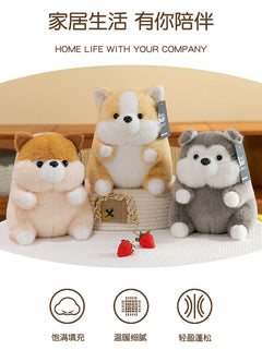 Adorable Corgi toy beside a child