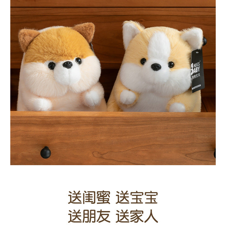 Corgi toy under soft lighting