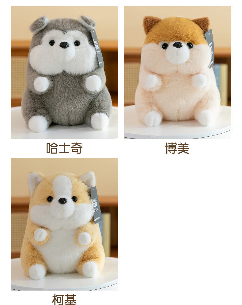 Multiple views of Corgi stuffed animal