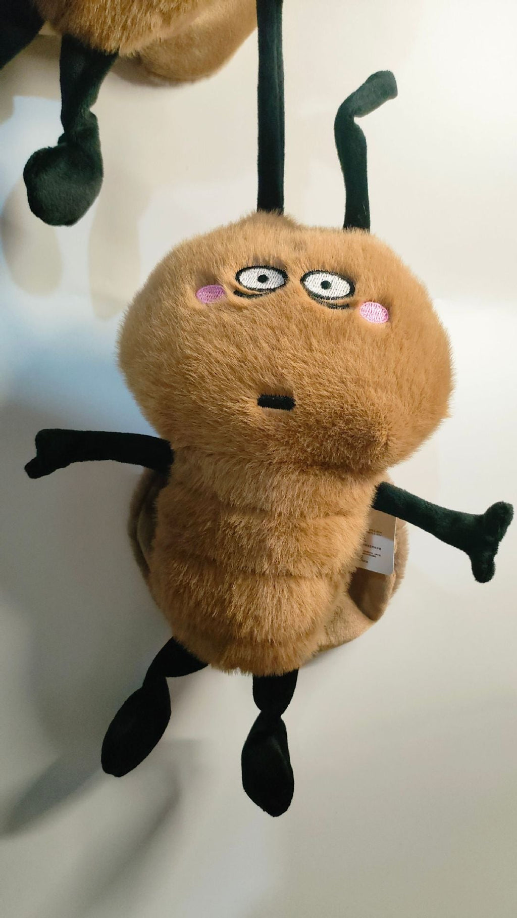Roach Plush Toy on a colourful background