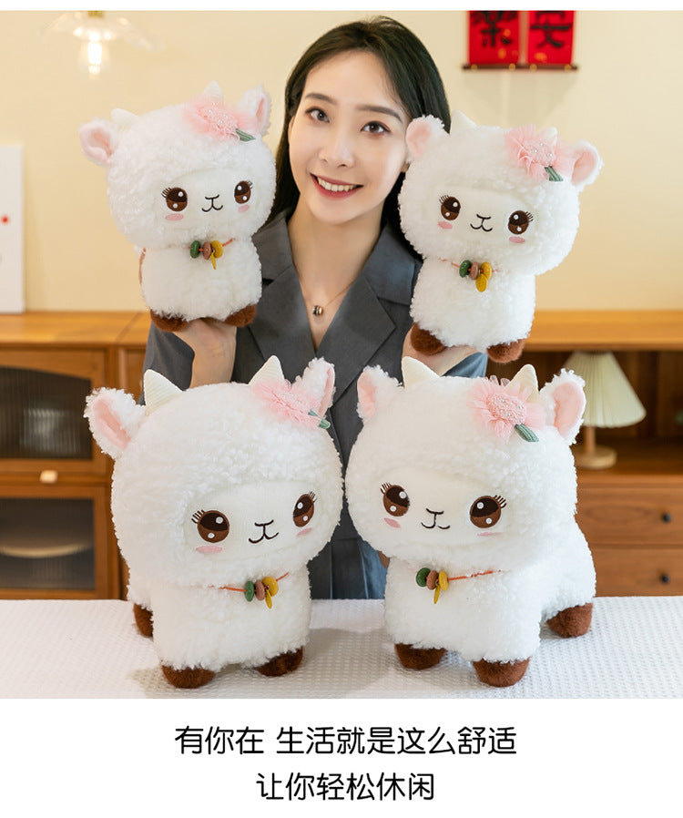 Happy child hugging the Cozy Lamb
