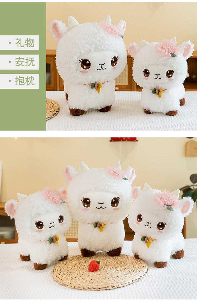 Lamb plush displayed in a room