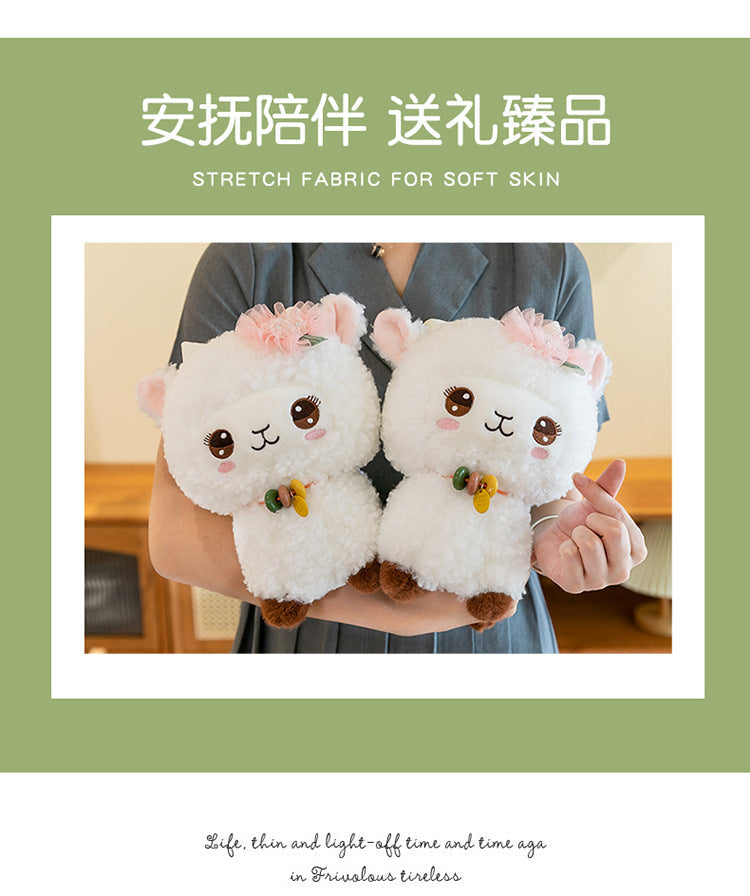 Cozy Lamb in a gift box