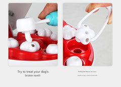 Imaginative play with pet care tools