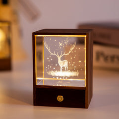 Wooden illuminated globe with multicolor lights
