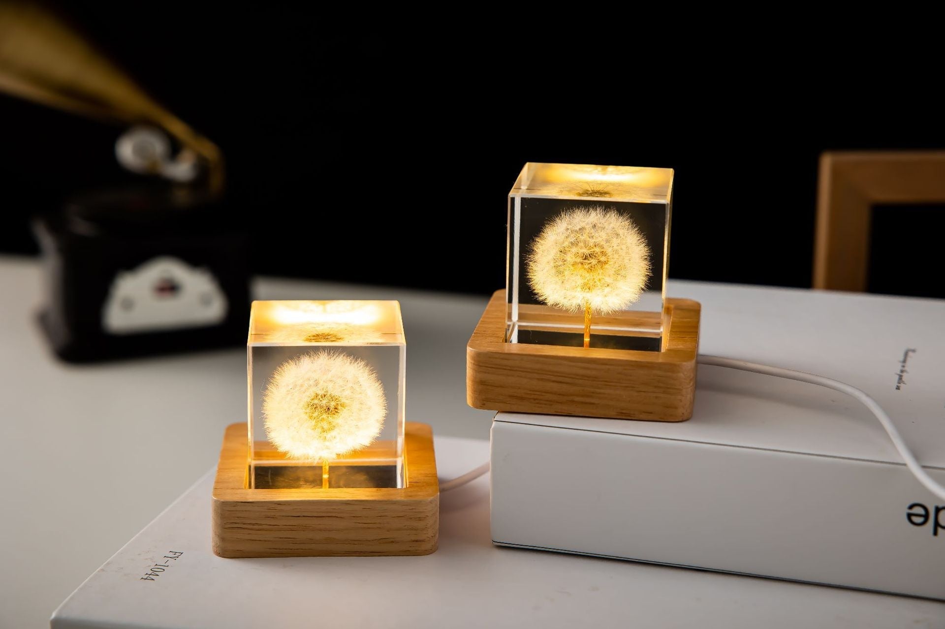 dandelion engraved night light in crystal ball