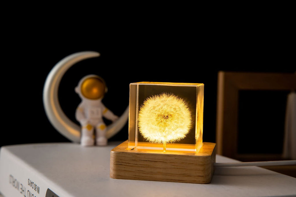 gift-ready packaging of dandelion lamp
