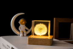 gift-ready packaging of dandelion lamp