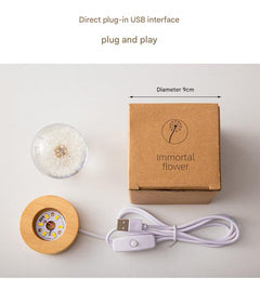 elegantly designed night lamp with real wood