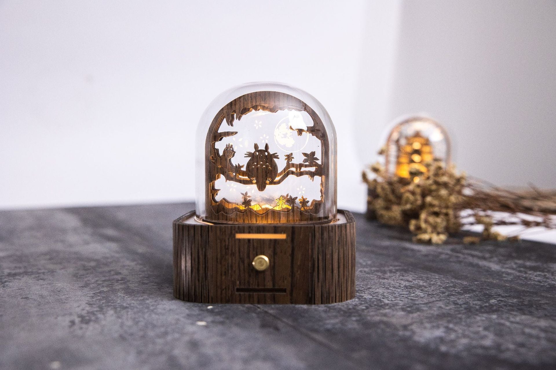 3D engraved night light showing Hogwarts Express