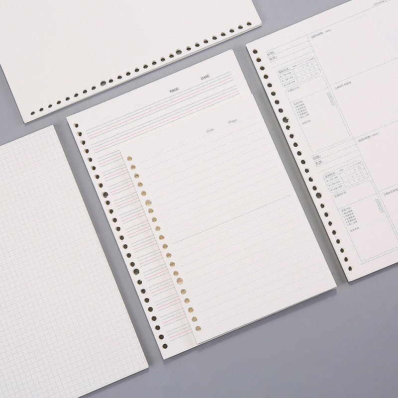 Detailed image of B5 grid refill pages