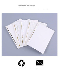 Organised A5 and B5 refill pages for easy access