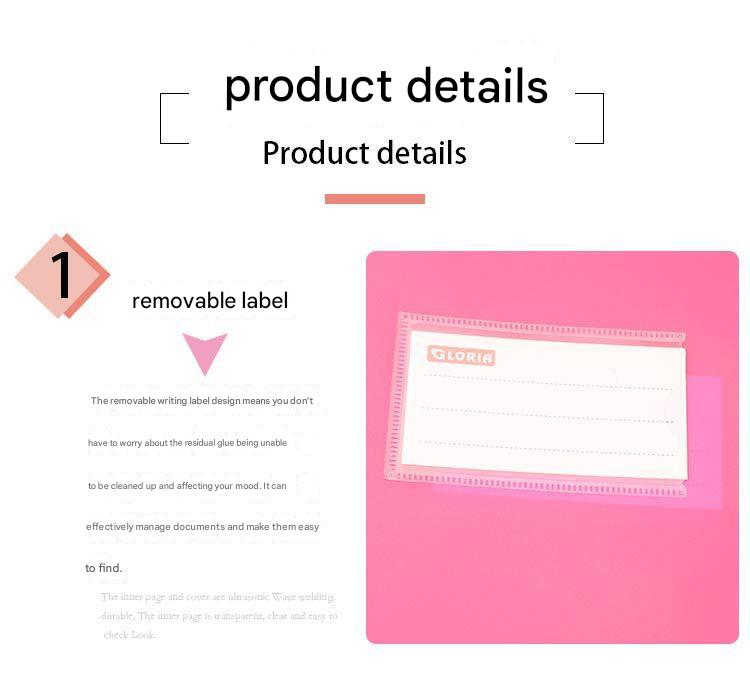 Close-up of clear plastic document folder protector