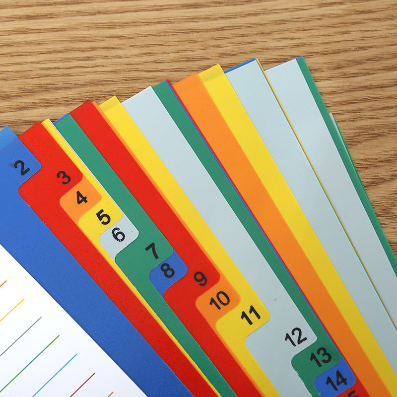 Premium A4 Colourful Divider Tabs Image 3