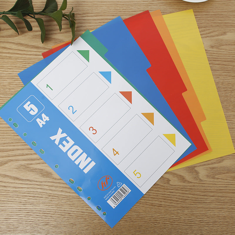 Premium A4 Colourful Divider Tabs Image 4