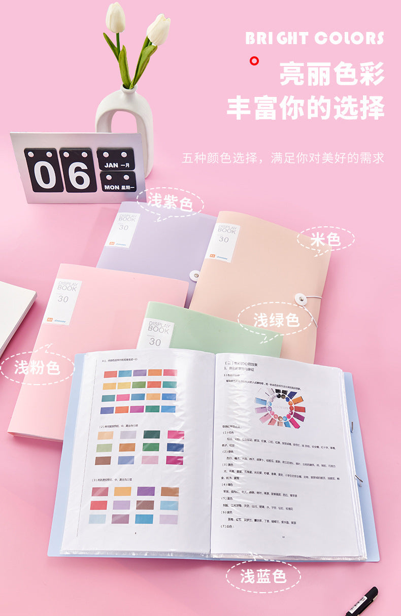 A4 Document Folder in blue colour