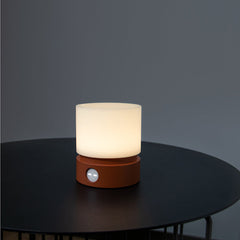 LED Night Light USB charging feature showcased