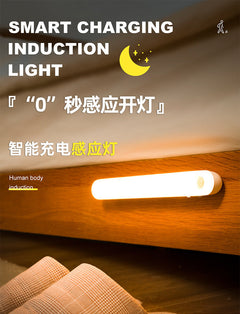 image of USB charged LED night light with motion sensor