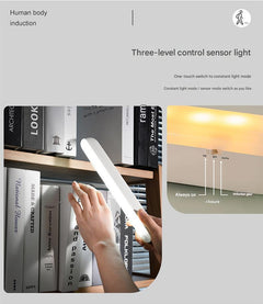 sleek design LED lamp with various colour options