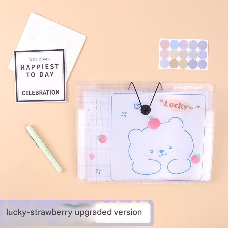 multi-layer accordion file organizer with contents