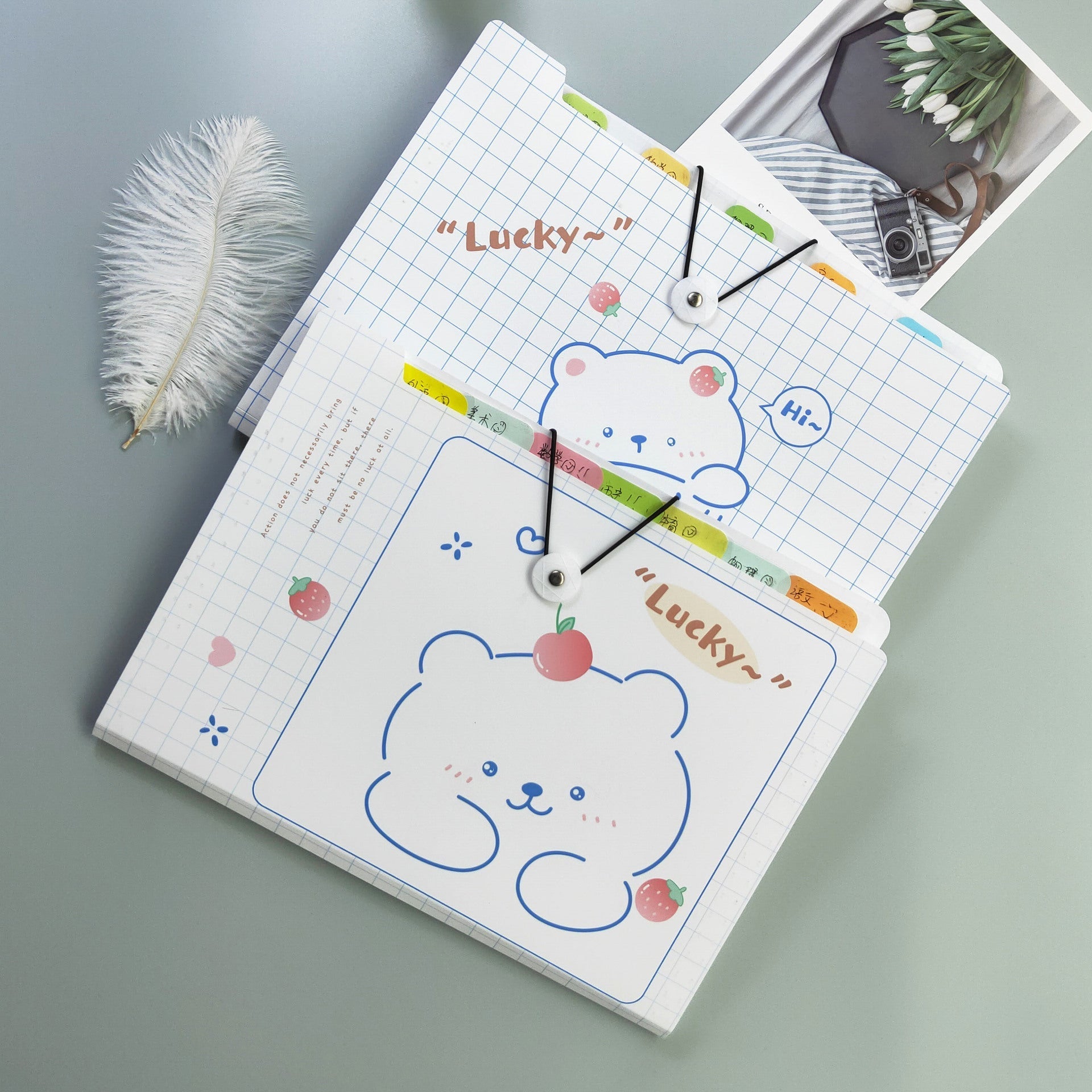 multi-layer accordion file organizer with contents