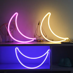 Colourful cactus neon light