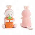 product 10381148455245 first variant