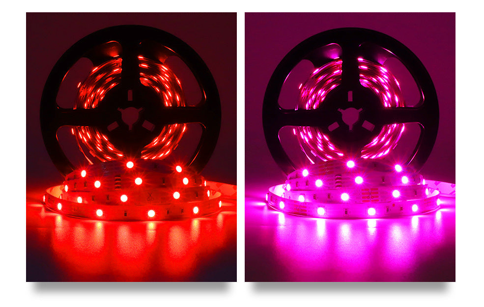 Waterproof RGB LED strip in outdoor setting