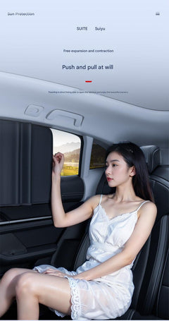Passenger Side Window Sunshade in Place