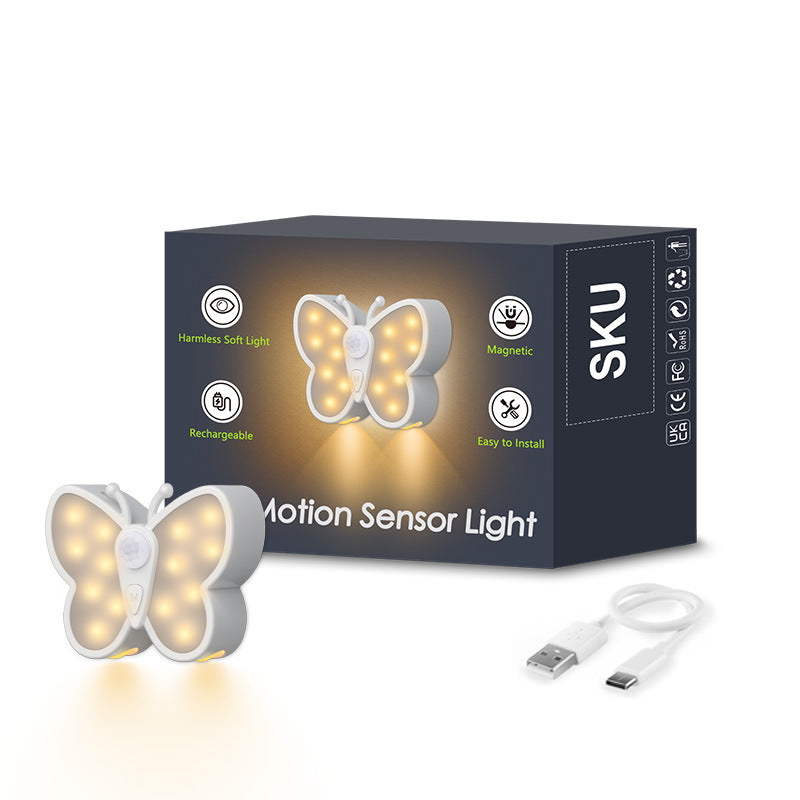 Rechargeable motion light in dark environment