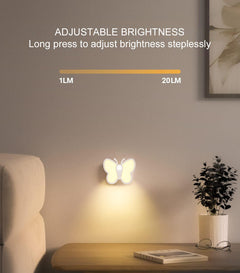 LED light features and design
