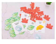 Sticky note pads in autumn colours