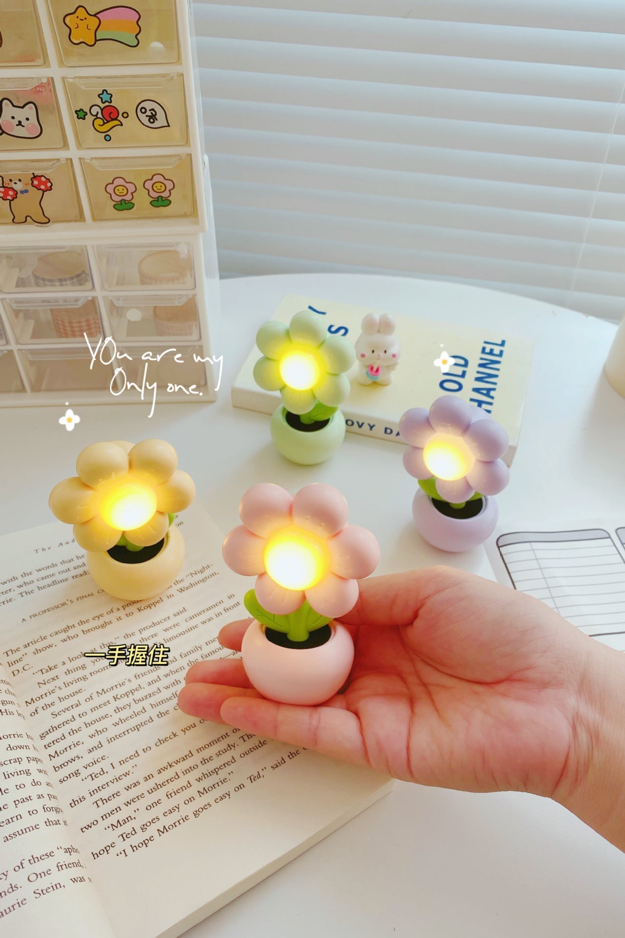 Charming Mini Flower Night Light displaying soft illumination