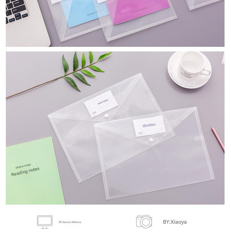 Transparent file bag in hand