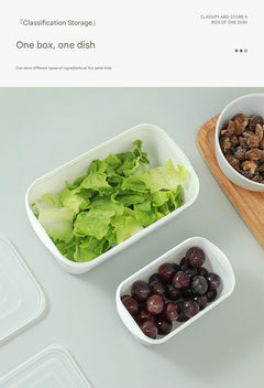 Zimoo food storage container sealed