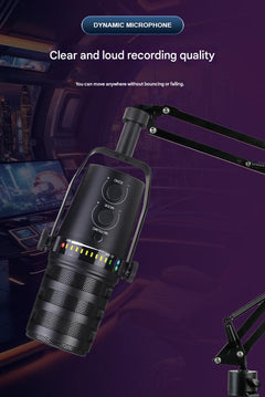 professional microphone with heart-shaped pickup pattern