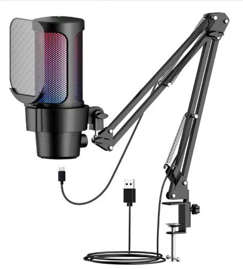Audio recording setup with microphone