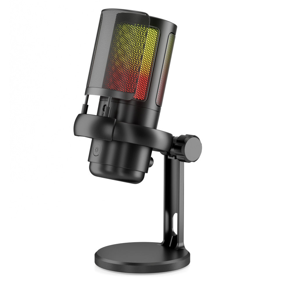 Compact microphone for portable use