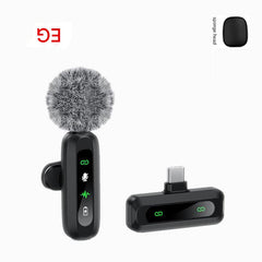 Professional Mini Microphone Image 7