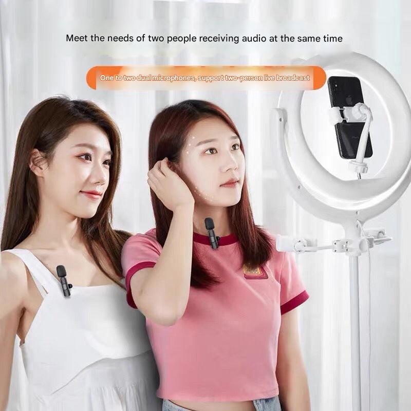 Compact rechargeable microphone for live use