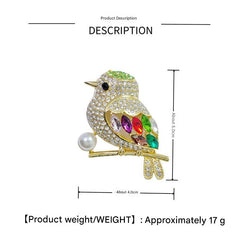 Colorful Feathered Bird Brooch on display