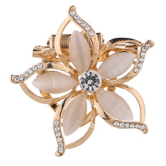 Unisex dual-purpose brooch for scarf
