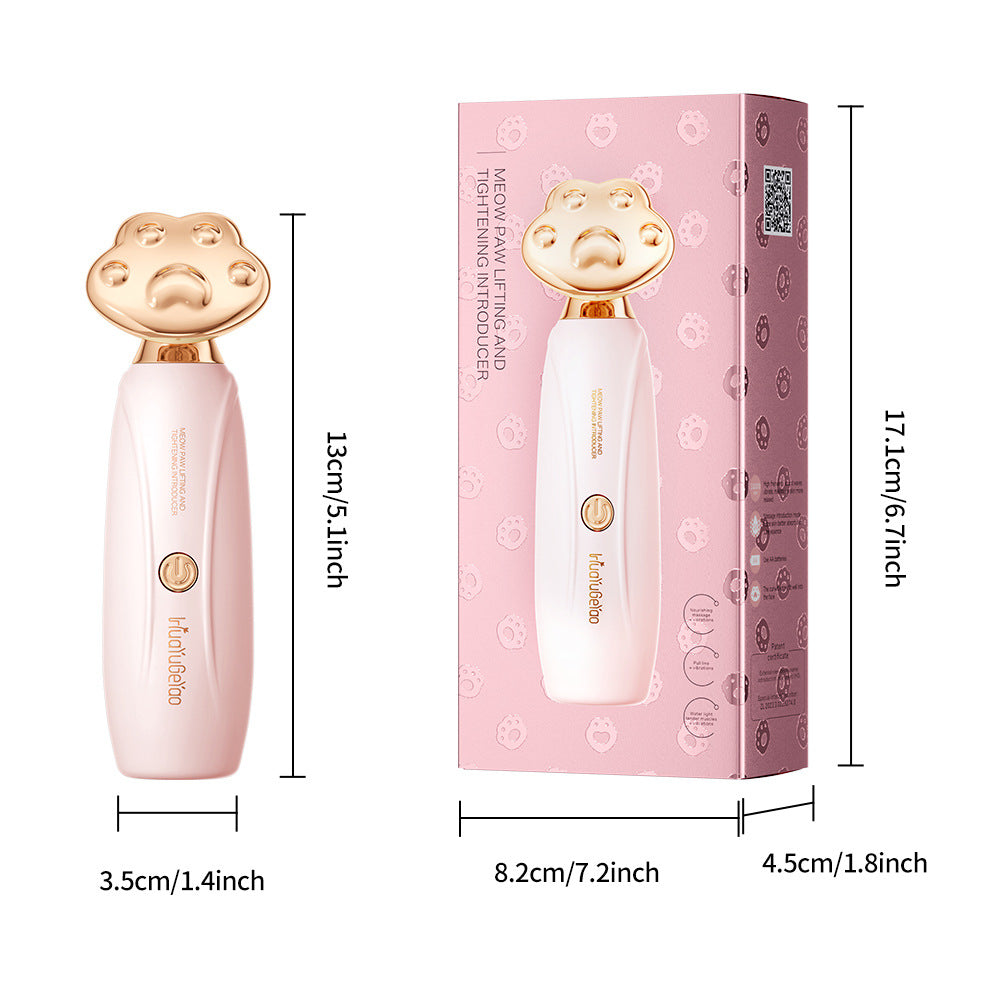Ultrasonic Facial Massage Device user manual