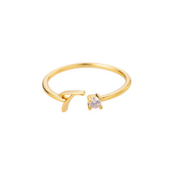creative design of gold plated ring