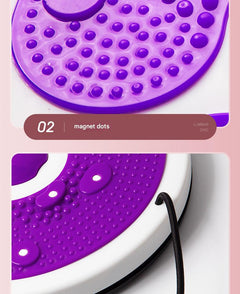 Portable Magnetic Waist Twisting Disc for fitness