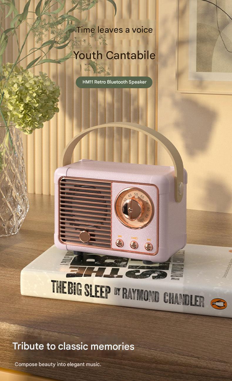 Portable Bluetooth Speaker in use outdoors