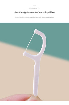 Close-up of Portable Dental Floss Picks